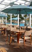 Туры в отель Warwick Paradise Island- All Inclusive- Adults Only Туры в отель Warwick Paradise Island- All Inclusive- Adults Only