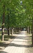 Туры в отель НаНедельку на улице 40-летия Победы Туры в отель НаНедельку на улице 40-летия Победы
