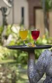 Туры в отель Mahe Garden Inn and Villas Туры в отель Mahe Garden Inn and Villas