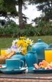 Туры в отель Oliphant Boutique Villa by Amaya Туры в отель Oliphant Boutique Villa by Amaya