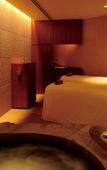 Туры в отель Grand Hyatt Tokyo Туры в отель Grand Hyatt Tokyo