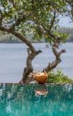 Туры в отель Serendipity Lake - Hikkaduwa Туры в отель Serendipity Lake - Hikkaduwa