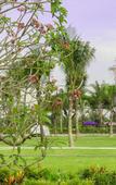 Туры в отель Nesta Hoian Resort and Spa Туры в отель Nesta Hoian Resort and Spa