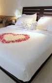 Туры в отель The Aliante Hotel Туры в отель The Aliante Hotel