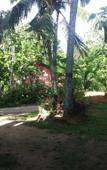 Туры в отель Rainbow Guest House Туры в отель Rainbow Guest House