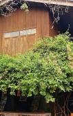 Туры в отель Siriwan House Туры в отель Siriwan House