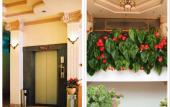 Туры в отель Dragon King 1 Hotel Da Lat Туры в отель Dragon King 1 Hotel Da Lat