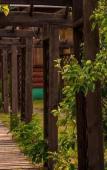 Туры в отель Kazachij Hutorok Guest House Туры в отель Kazachij Hutorok Guest House