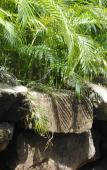 Туры в отель Baan Sawan Samui Resort Туры в отель Baan Sawan Samui Resort