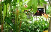 Туры в отель Baan Sawan Samui Resort Туры в отель Baan Sawan Samui Resort
