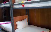 Туры в отель Funky Fish Hostel Туры в отель Funky Fish Hostel