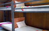 Туры в отель Funky Fish Hostel Туры в отель Funky Fish Hostel