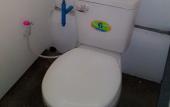 Туры в отель Funky Fish Hostel Туры в отель Funky Fish Hostel