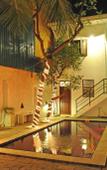 Туры в отель The Villa in Lavinia Туры в отель The Villa in Lavinia