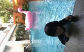 Туры в отель Lanna Tree Boutique Hotel Туры в отель Lanna Tree Boutique Hotel