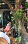 Туры в отель Lanna Tree Boutique Hotel Туры в отель Lanna Tree Boutique Hotel