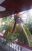 Туры в отель Happy Night Holiday Inn Туры в отель Happy Night Holiday Inn