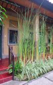 Туры в отель Wayan Homestay Sanur Туры в отель Wayan Homestay Sanur