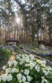 Туры в отель Mescherskaya Usadba Park-Hotel Туры в отель Mescherskaya Usadba Park-Hotel