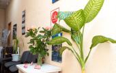 Туры в отель Like Hostel Туры в отель Like Hostel
