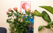 Туры в отель Like Hostel Туры в отель Like Hostel