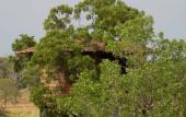 Туры в отель The Hideout Sigiriya Туры в отель The Hideout Sigiriya