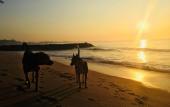 Туры в отель Grand Conch Villa Туры в отель Grand Conch Villa