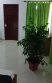 Туры в отель Moragalla Beach Home Guesthouse (Newly opened hotel) Туры в отель Moragalla Beach Home Guesthouse (Newly opened hotel)