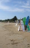 Туры в отель Moragalla Beach Home Guesthouse (Newly opened hotel) Туры в отель Moragalla Beach Home Guesthouse (Newly opened hotel)