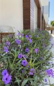 Туры в отель Zest Exclusive Hotel and Spa Resort Туры в отель Zest Exclusive Hotel and Spa Resort