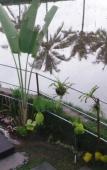 Туры в отель Villa Kemuning Ubud Туры в отель Villa Kemuning Ubud
