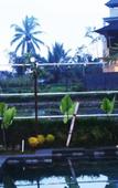 Туры в отель Villa Kemuning Ubud Туры в отель Villa Kemuning Ubud