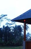 Туры в отель Villa Kemuning Ubud Туры в отель Villa Kemuning Ubud