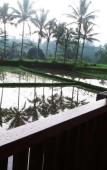 Туры в отель Villa Kemuning Ubud Туры в отель Villa Kemuning Ubud