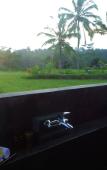 Туры в отель Villa Kemuning Ubud Туры в отель Villa Kemuning Ubud