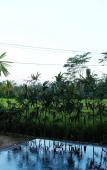 Туры в отель Villa Kemuning Ubud Туры в отель Villa Kemuning Ubud
