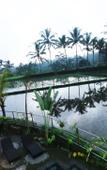 Туры в отель Villa Kemuning Ubud Туры в отель Villa Kemuning Ubud