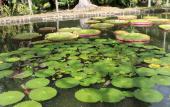 Туры в отель Le Lotus Туры в отель Le Lotus