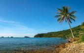 Туры в отель Macura Resort Туры в отель Macura Resort