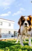 Туры в отель Gobene Alacati Туры в отель Gobene Alacati