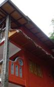 Туры в отель Hotel Orangutan Туры в отель Hotel Orangutan