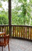 Туры в отель Hotel Orangutan Туры в отель Hotel Orangutan
