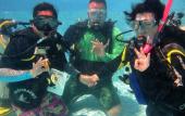 Туры в отель Lalaguna Villas Luxury Dive Resort & Spa Туры в отель Lalaguna Villas Luxury Dive Resort & Spa