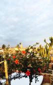 Туры в отель Riad 144 Туры в отель Riad 144