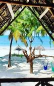 Туры в отель Evergreen Bungalows Туры в отель Evergreen Bungalows