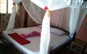Туры в отель Evergreen Bungalows Туры в отель Evergreen Bungalows