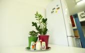 Туры в отель Tri Matryoshki Hostel Туры в отель Tri Matryoshki Hostel