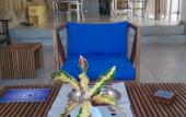 Туры в отель Isana Beach House Туры в отель Isana Beach House