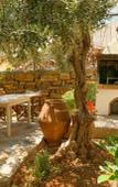Туры в отель Villa Olga Туры в отель Villa Olga