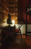 Туры в отель Light Dream Hostel Туры в отель Light Dream Hostel